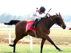 Tiffany wins the Kentucky Turf Cup (G2) at Kentucky Downs.