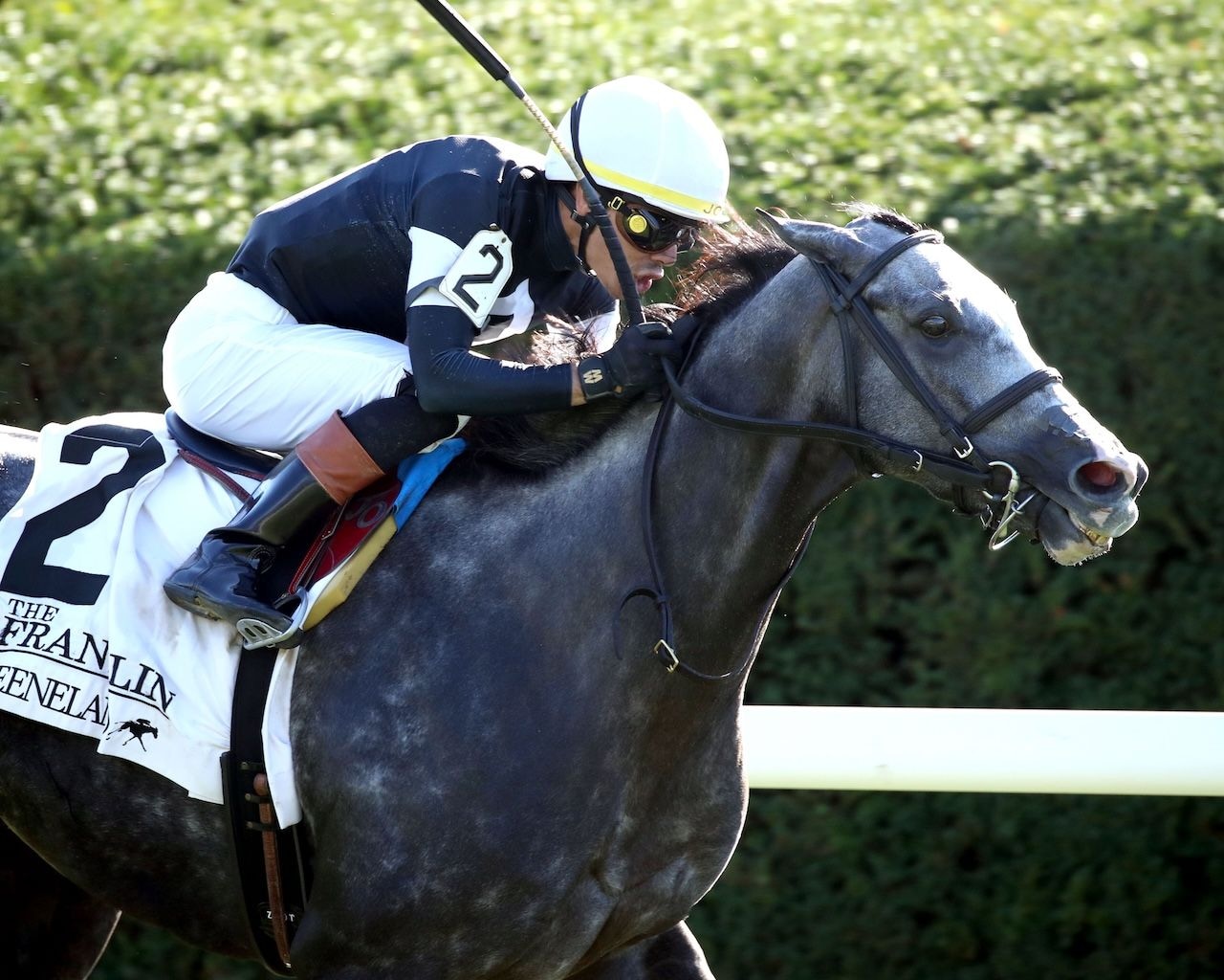 Time to Dazzle wins the Franklin Stakes (G2) at Keeneland.