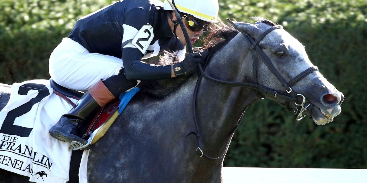 Time to Dazzle wins the Franklin Stakes (G2) at Keeneland.