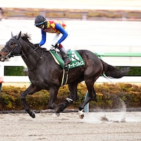 T O Elvis romped in the Capella (G3) at Nakayama