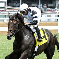 Trouble Calling wins at Churchill Downs.