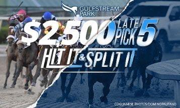 Gulfstream Dec 2024 hit and split promo