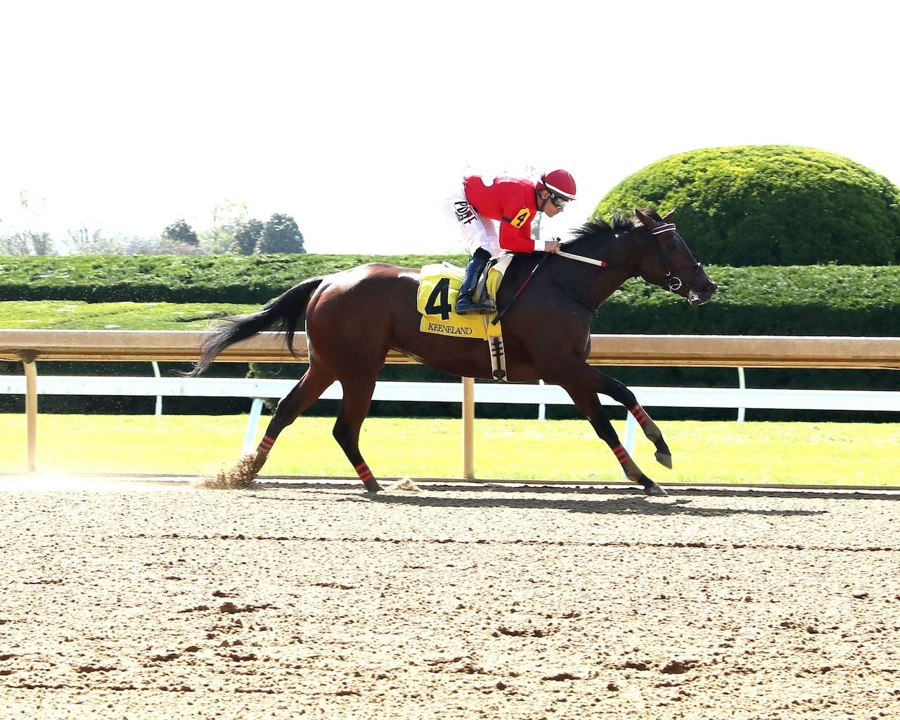 Two Sharp wins at Keeneland.