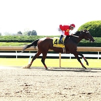 Two Sharp wins at Keeneland.