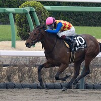 T O Password winning the Fukuryu S. at Nakayama Racecourse (Photo by Tomoya Moriuchi/Horsephotos.com)