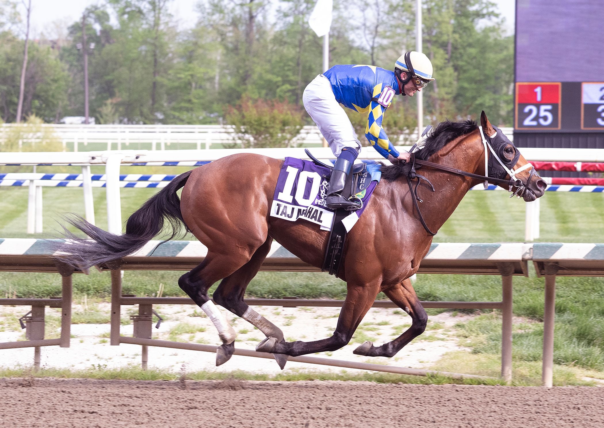Taj Mahal dominates the Federico Tesio