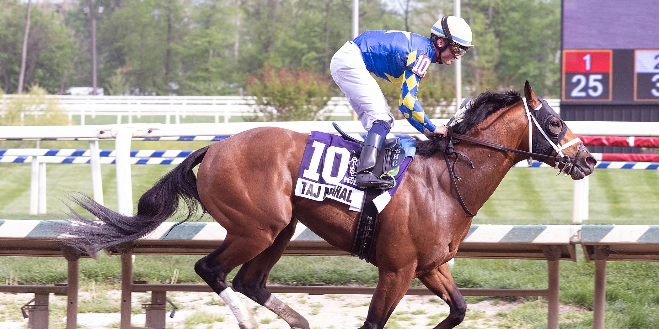 Taj Mahal dominates the Federico Tesio