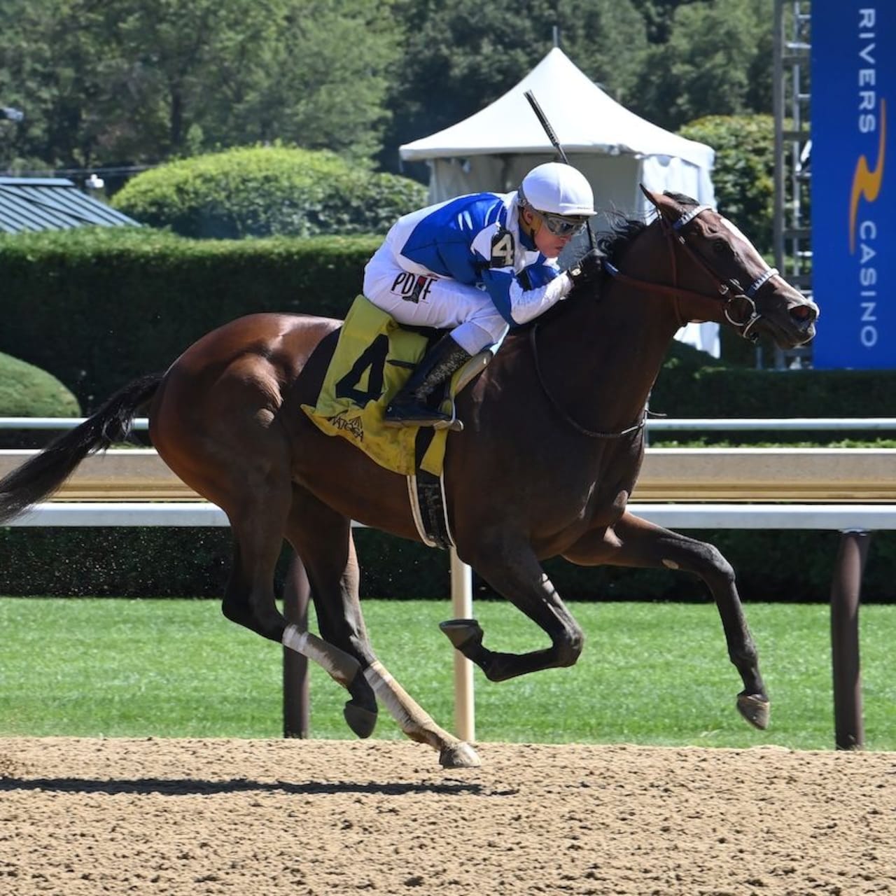 Taken By The Wind wins at Sartoga.
