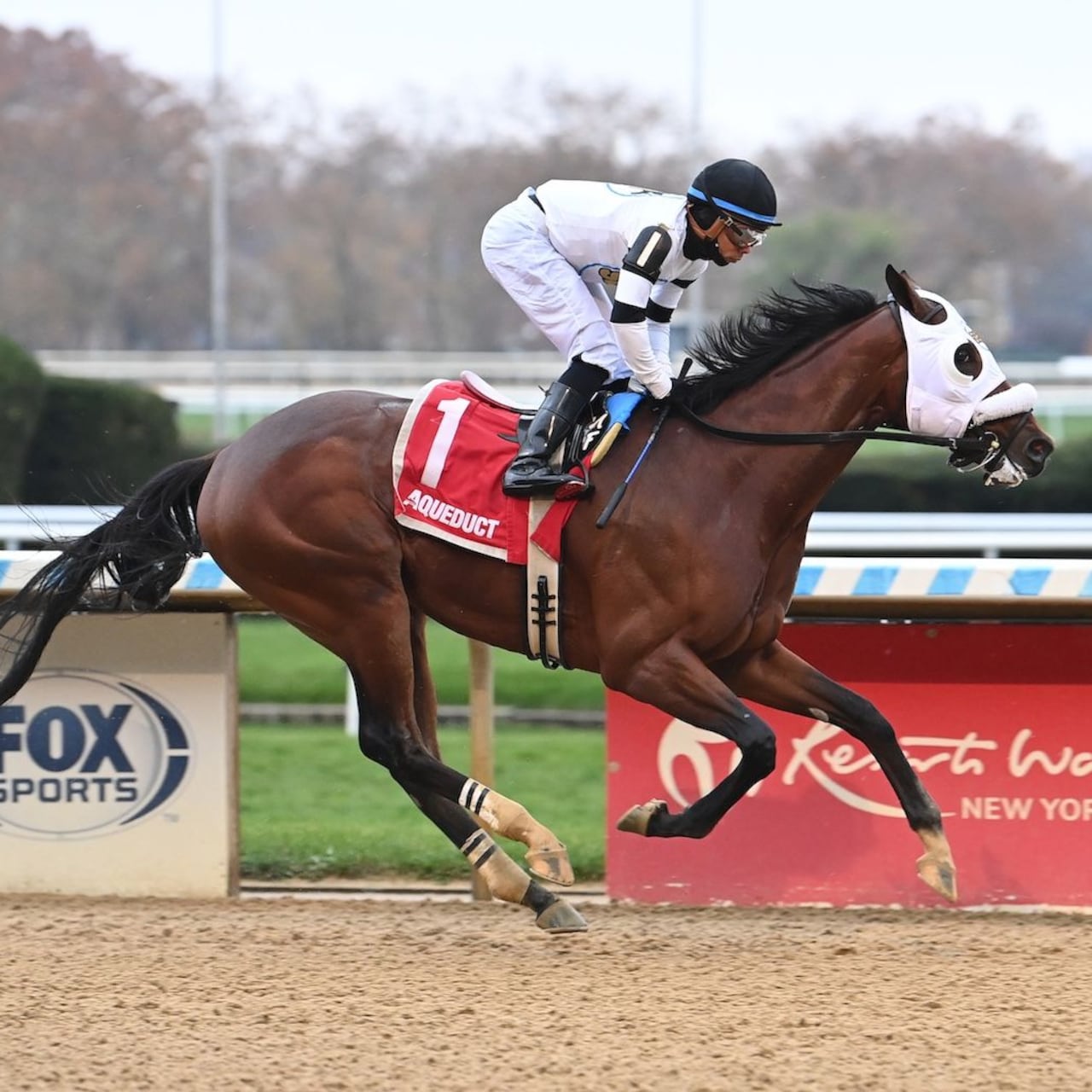 Talk to Me Jimmy wins at Aqueduct.