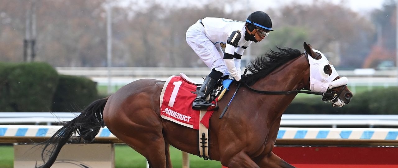 Talk to Me Jimmy wins at Aqueduct.