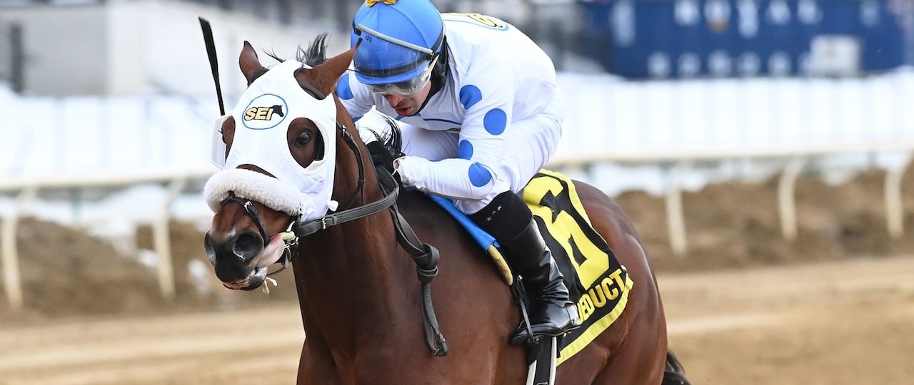 Talk to Me Jimmy wins the Withers Stakes at Aqueduct.