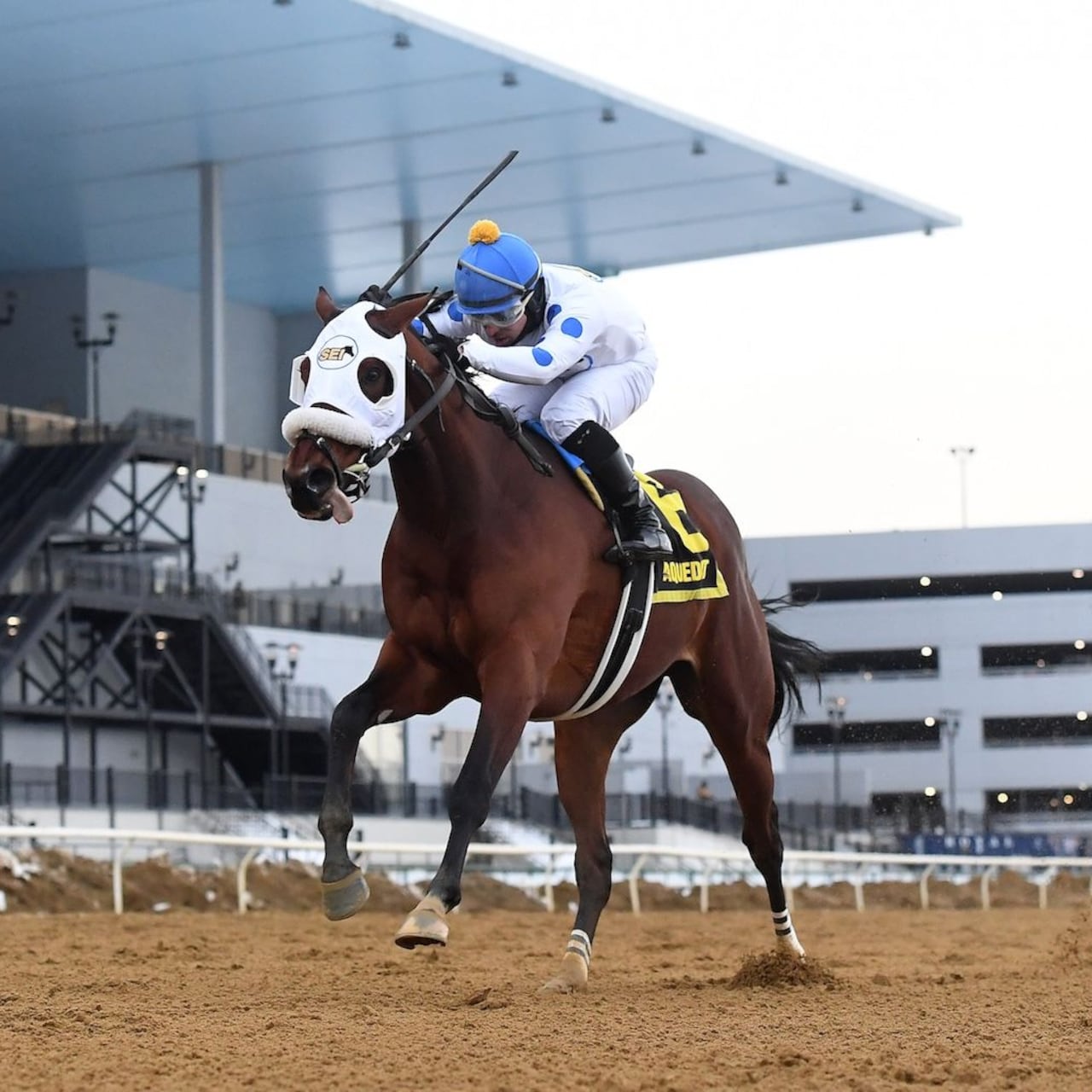 Talk to Me Jimmy wins the Withers Stakes at Aqueduct.