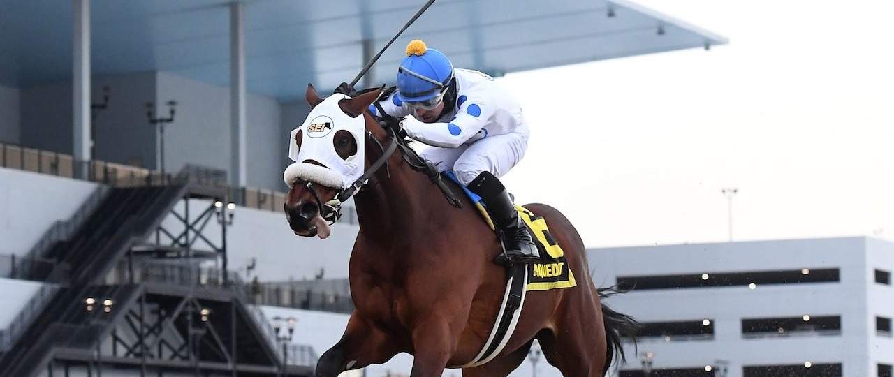 Talk to Me Jimmy wins the Withers Stakes at Aqueduct.