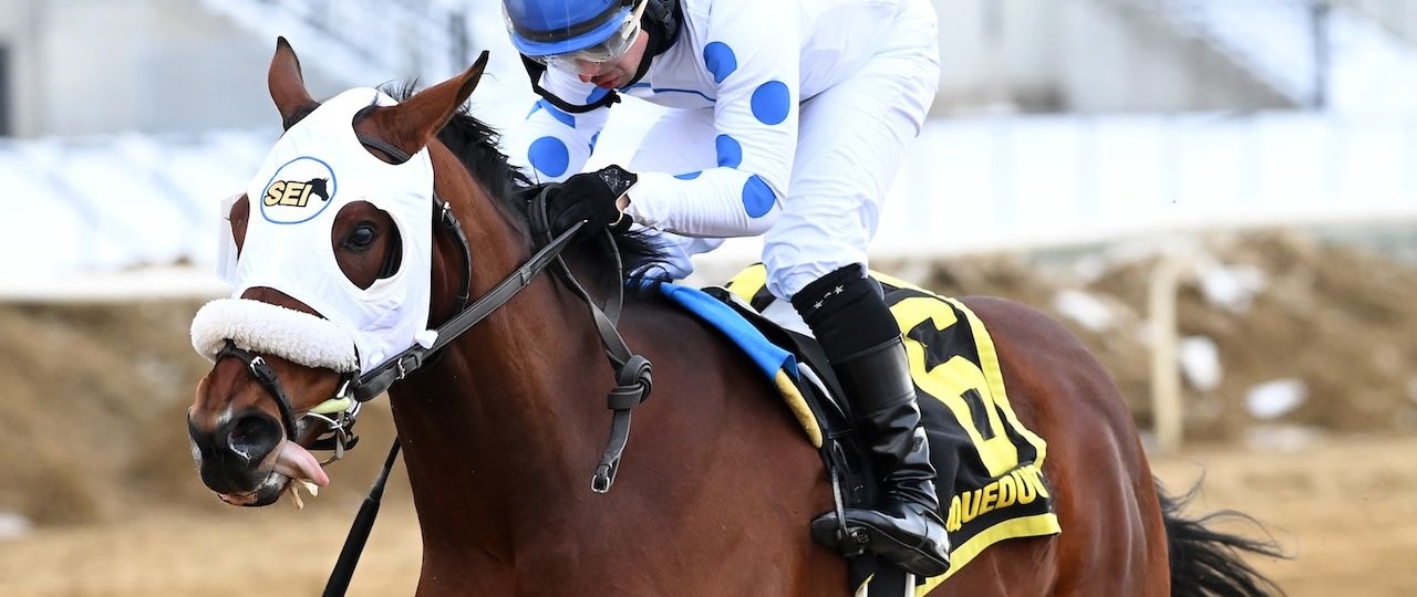Talk to Me Jimmy wins the Withers Stakes at Aqueduct.