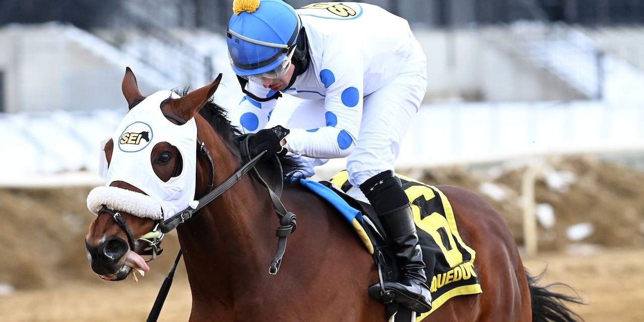 Talk to Me Jimmy wins the Withers Stakes at Aqueduct.