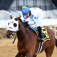 Talk to Me Jimmy wins the Withers Stakes at Aqueduct.