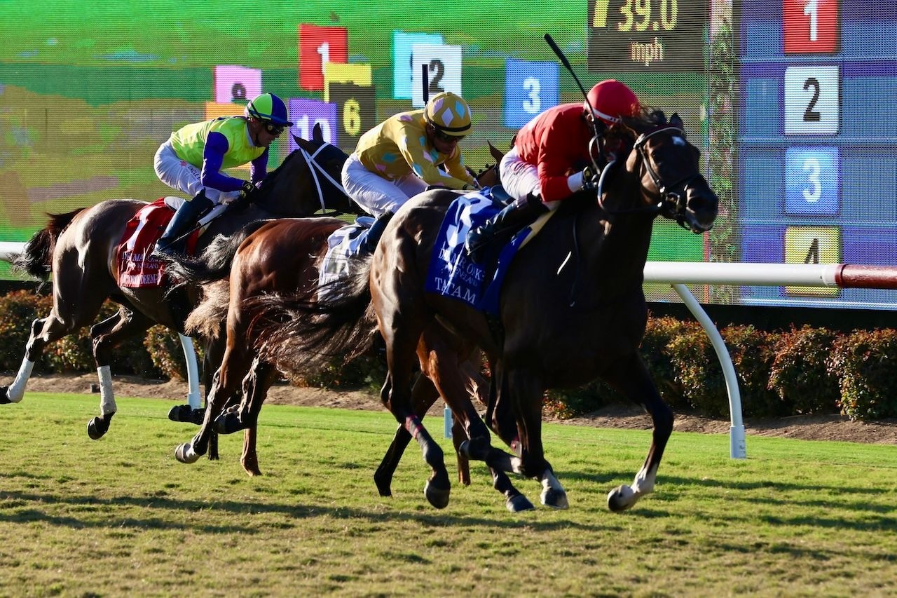 Tam Tam wins the Del Mar Oaks at Del Mar.