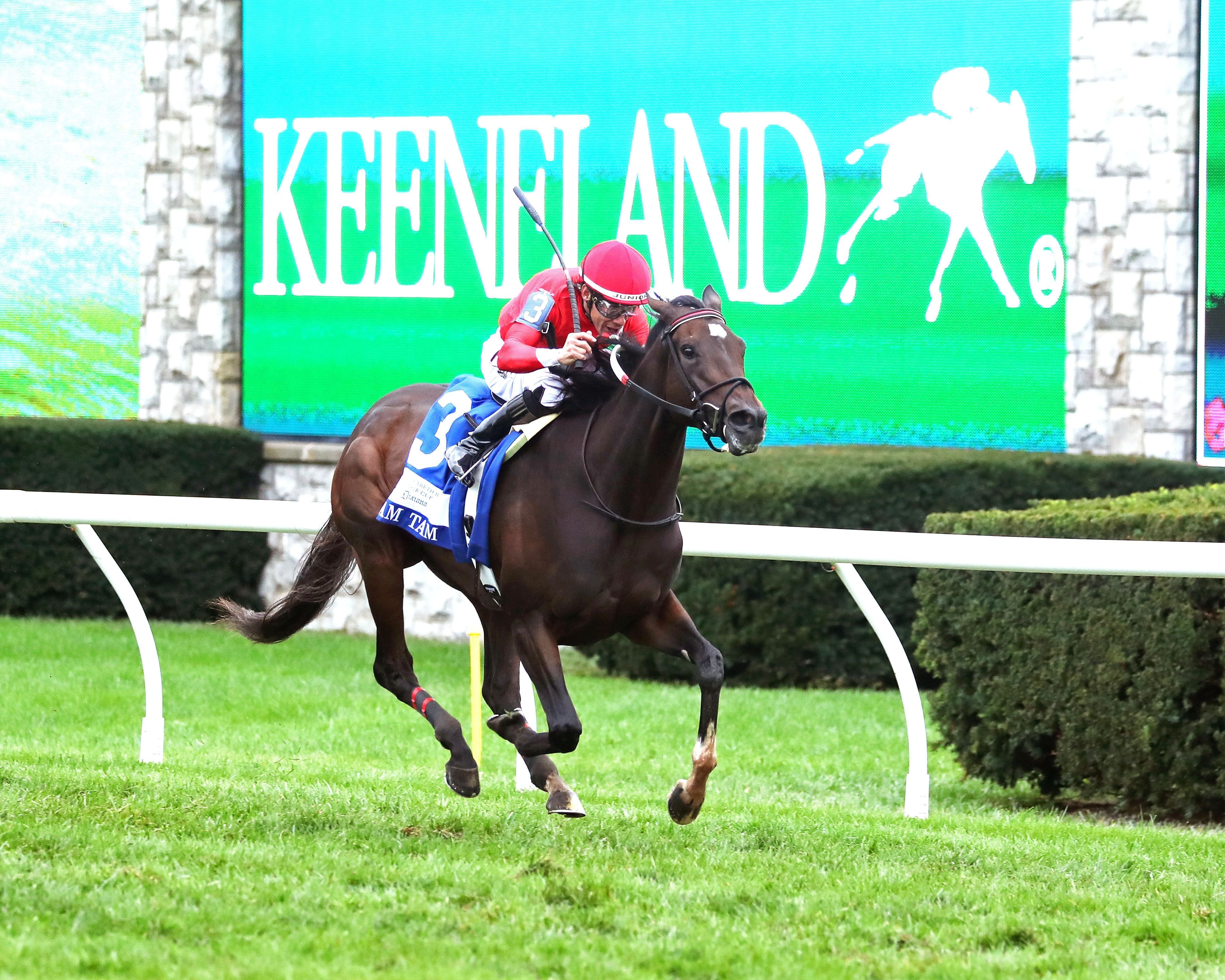 Tam Tam wins the Queen Elizabeth II Challenge Cup at Keeneland.