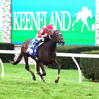 Tam Tam wins the Queen Elizabeth II Challenge Cup at Keeneland. 