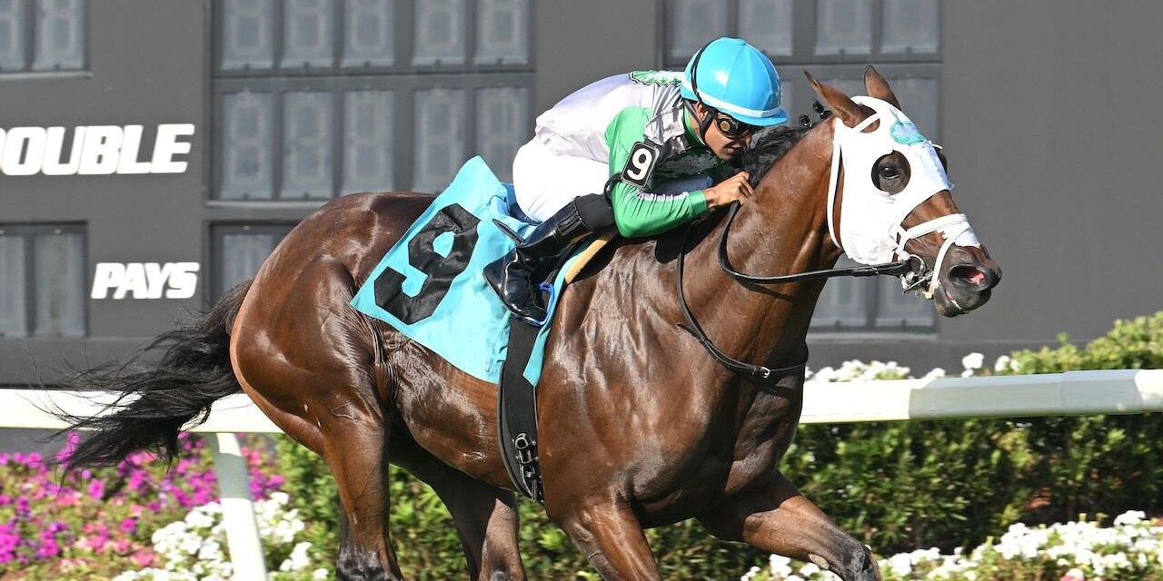 Tank wins the Equistaff Sophmore Turf at Tampa Bay Downs.