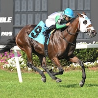 Tank wins the Equistaff Sophmore Turf at Tampa Bay Downs.
