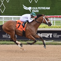 Tappan Street wins at Gulfstream Park.