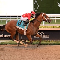 Tappan Street wins the Florida Derby at Gulfstream Park.