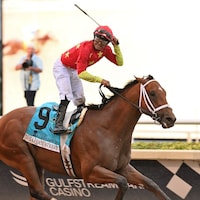 Tappan Street wins the Florida Derby at Gulfstream Park.