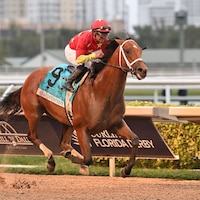 Tappan Street wins the Florida Derby at Gulfstream Park.