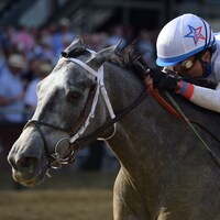 Taxed wins the 2023 Black-Eyed Susan (G2) at Pimlico (Photo by Maryland Jockey Club/Jim Duley)
