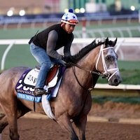 Ted Noffey training for the Breeders' Cup Juvenile