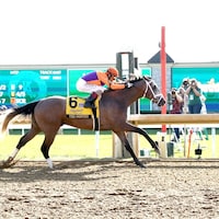 Ted Noffey wins the Breeders' Futurity at Keeneland. 
