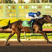 Tenma wins the Starlet (G2) at Los Alamitos.