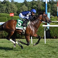 Test Score wins the 2025 Belmont Derby at Saratoga (Photo by Coglianese Photos)