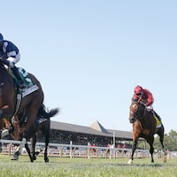 Test Score wins the 2025 Belmont Derby at Saratoga (Photo by Horsephotos.com)
