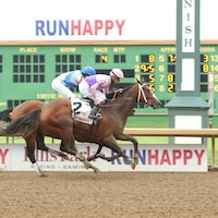 Racing at Ellis Park
