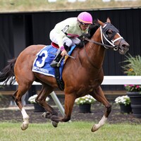 That's Right wins the Wolf Hill S. (Photo by Equi-Photo)