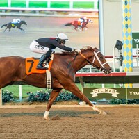 The Chosen Vron wins the Cary Grany Stakes at Del Mar