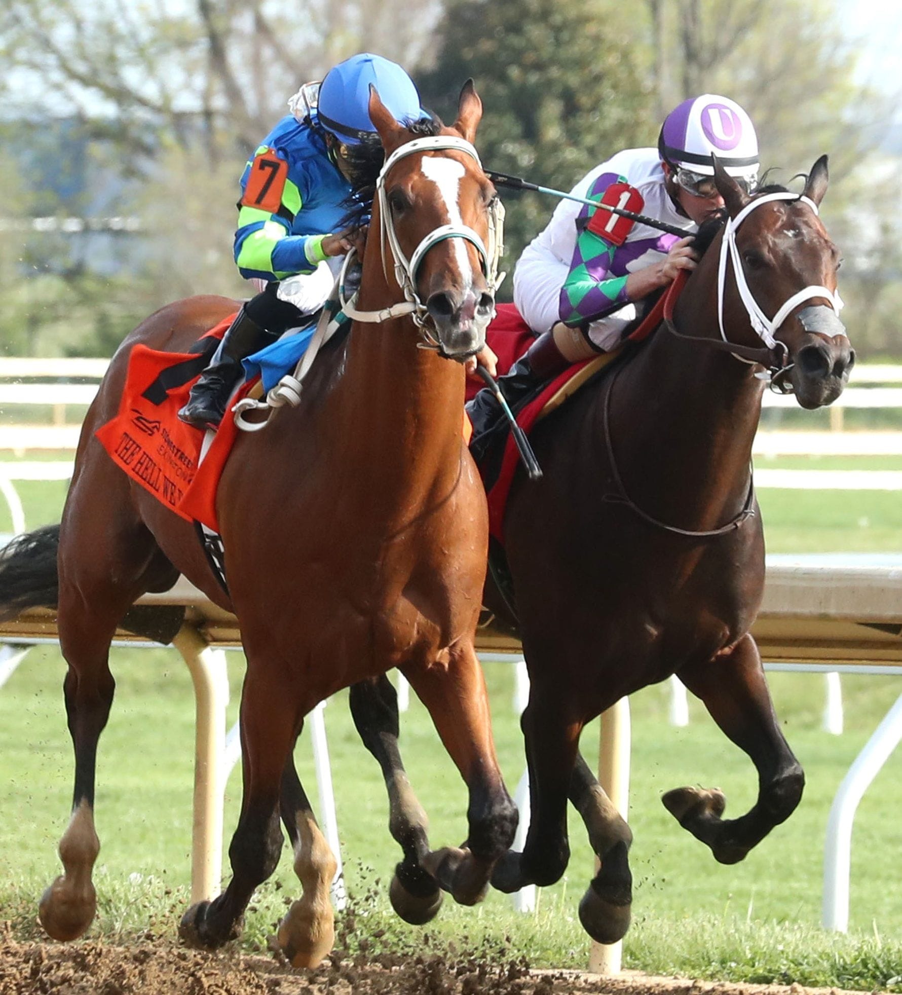 The Hell We Did finishing second in the Lexington (G3)