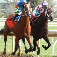 The Hell We Did finishing second in the Lexington (G3)