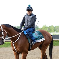 The Hell We Did trains towards the Preakness Stakes (Photo by Equi-Photo)