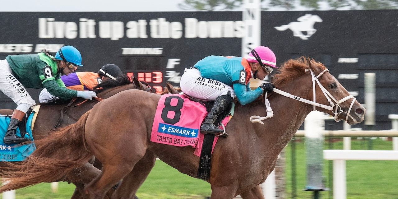 The Puma wins the Tampa Bay Derby at Tampa Bay Downs. 