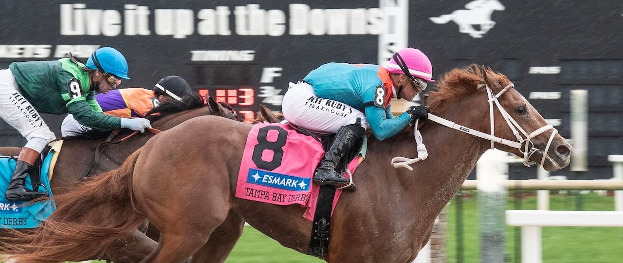 The Puma wins the Tampa Bay Derby at Tampa Bay Downs.