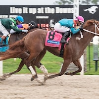 The Puma wins the Tampa Bay Derby at Tampa Bay Downs.
