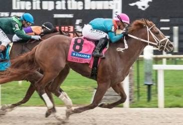 The Puma wins the Tampa Bay Derby at Tampa Bay Downs.