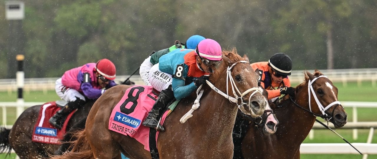 The Puma wins the Tampa Bay Derby at Tampa Bay Downs.