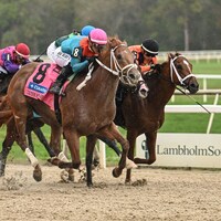 The Puma wins the Tampa Bay Derby at Tampa Bay Downs.