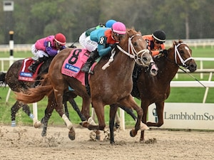 The Puma wins the Tampa Bay Derby at Tampa Bay Downs.