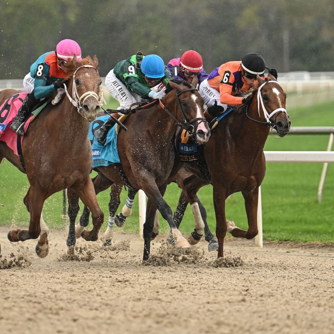 The Puma wins the Tampa Bay Derby at Tampa Bay Downs.