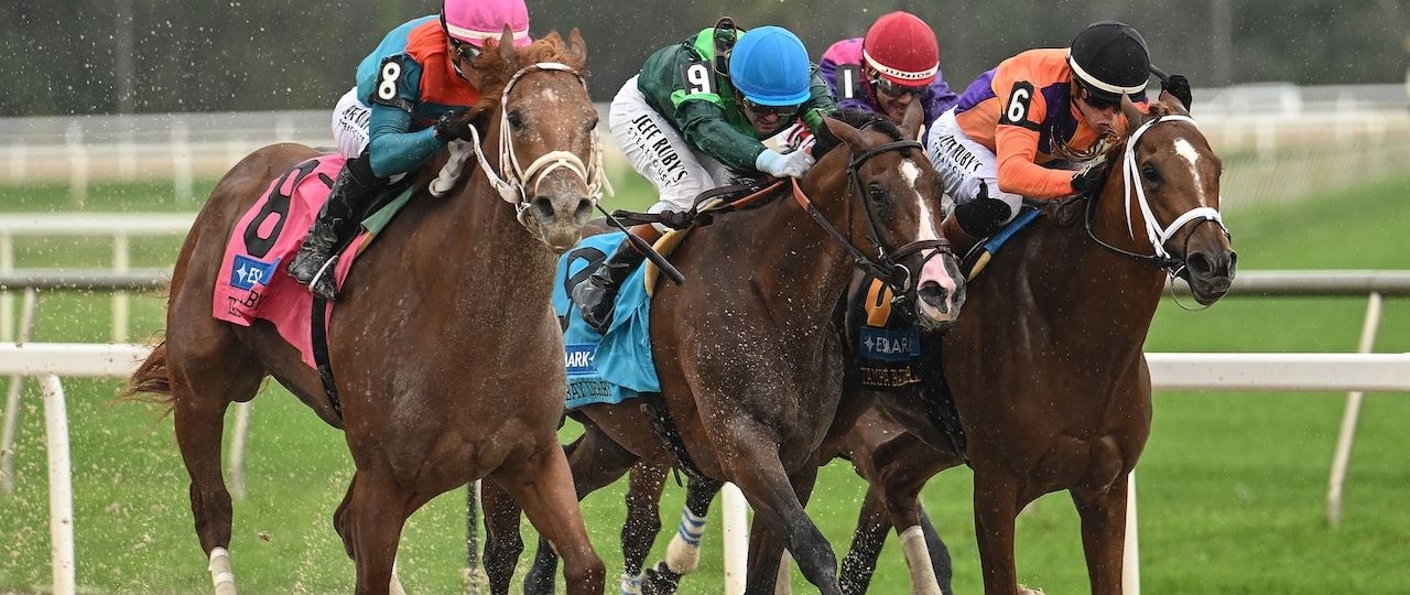 The Puma wins the Tampa Bay Derby at Tampa Bay Downs.